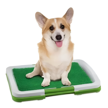 Tapete Entrenamiento para Cachorros - Imagen 3