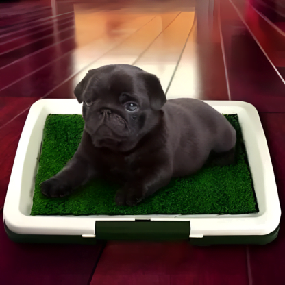 Tapete Entrenamiento para Cachorros - Imagen 4
