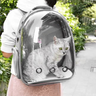 Morral para Mascotas